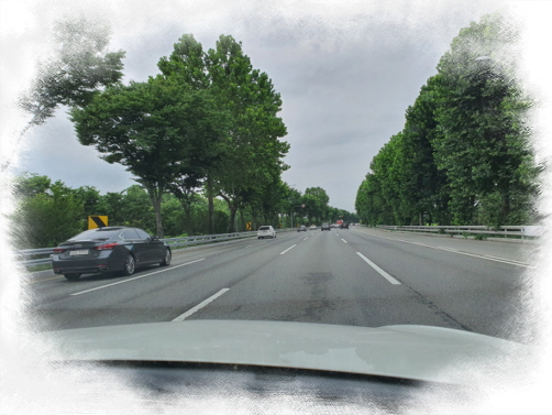 자차운전연수 꿈꿨던 장롱탈출기